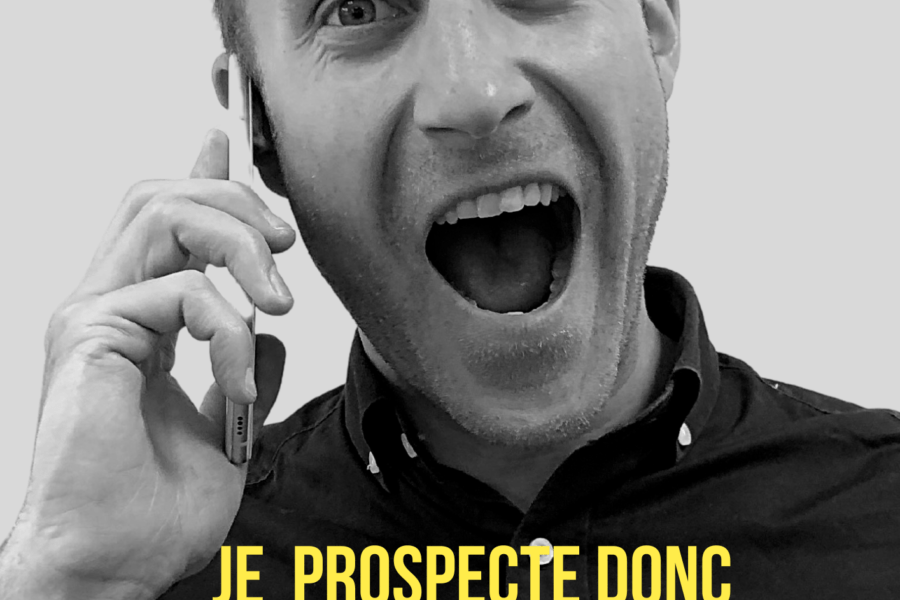 livre vente et prospection commerciale btob